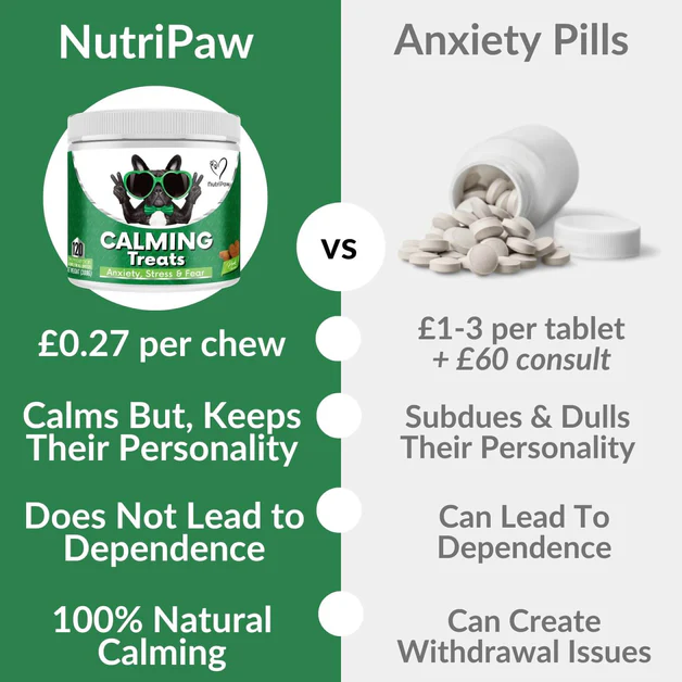 120 tasty calming treats for stress, anxiety & fear