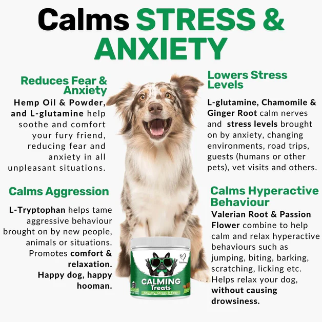 120 tasty calming treats for stress, anxiety & fear